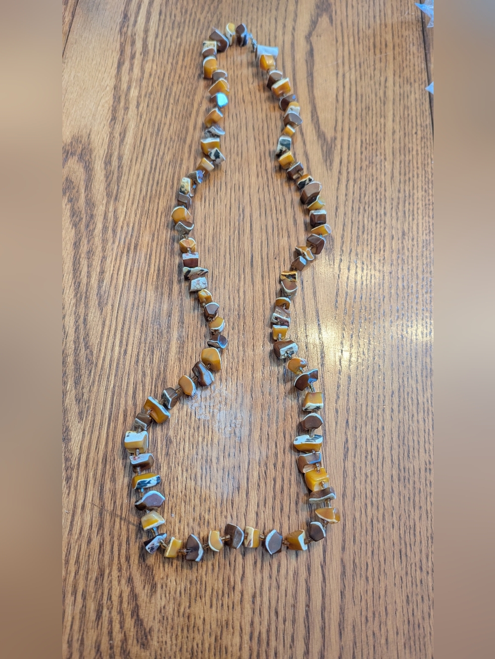 Conch Shell Necklace